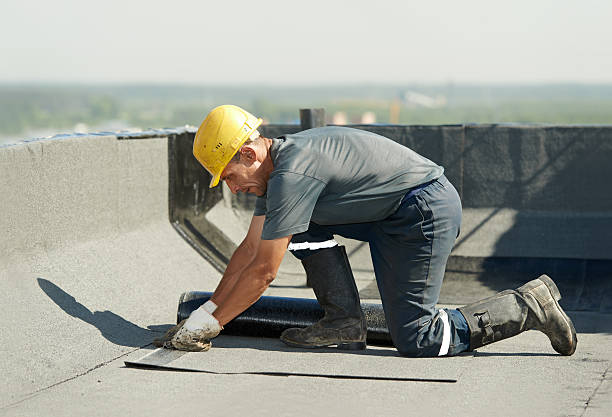 Best Commercial Insulation in Campton Hls, IL